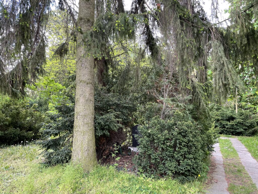Wunderwelt Alter Friedhof St. Jacobi – Bild 27