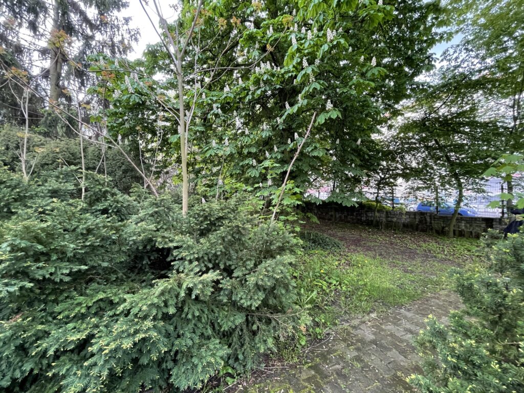 Wunderwelt Alter Friedhof St. Jacobi – Bild 28
