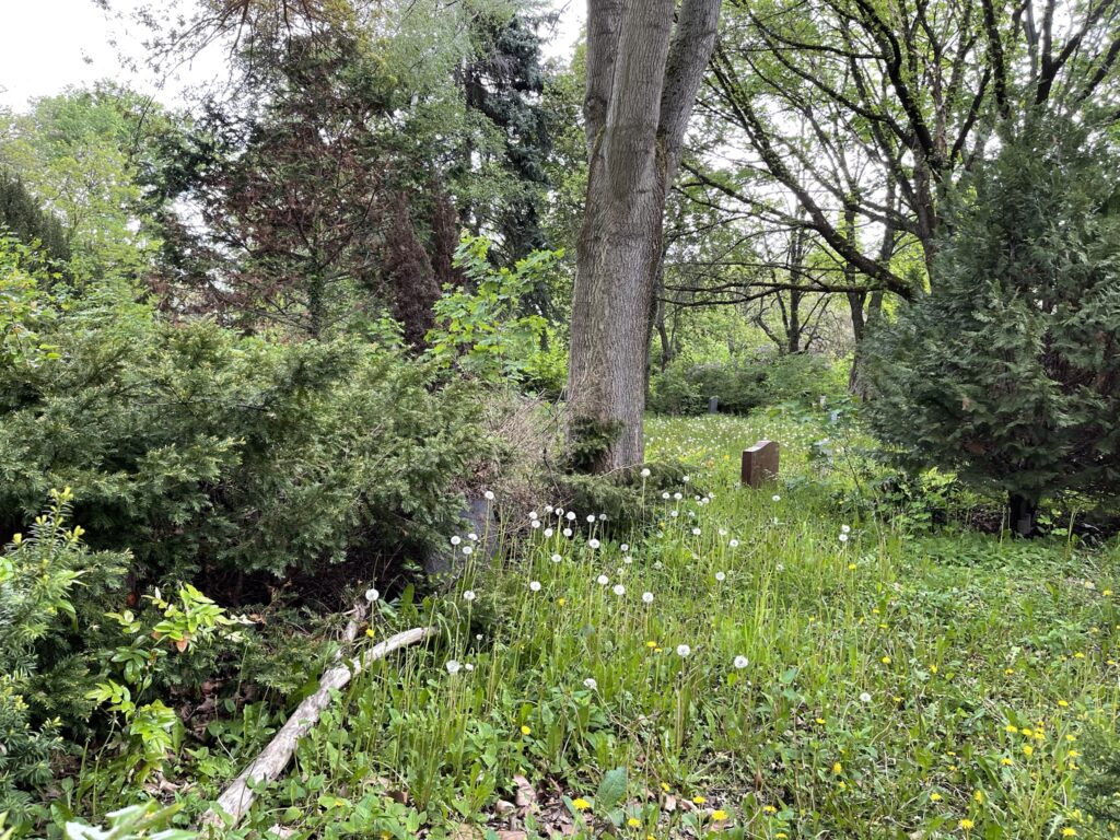Wunderwelt Alter Friedhof St. Jacobi – Bild 30