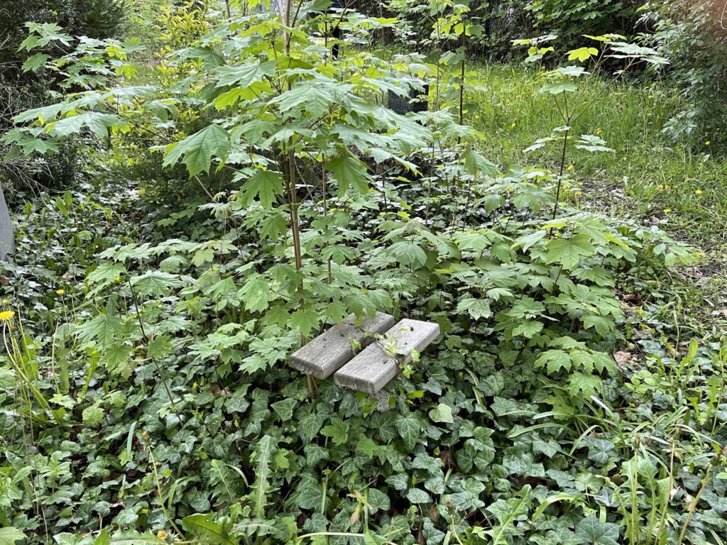 Wunderwelt Alter Friedhof St. Jacobi – Bild 31