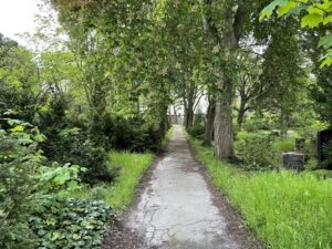 Wunderwelt Alter Friedhof St. Jacobi – Bild 33