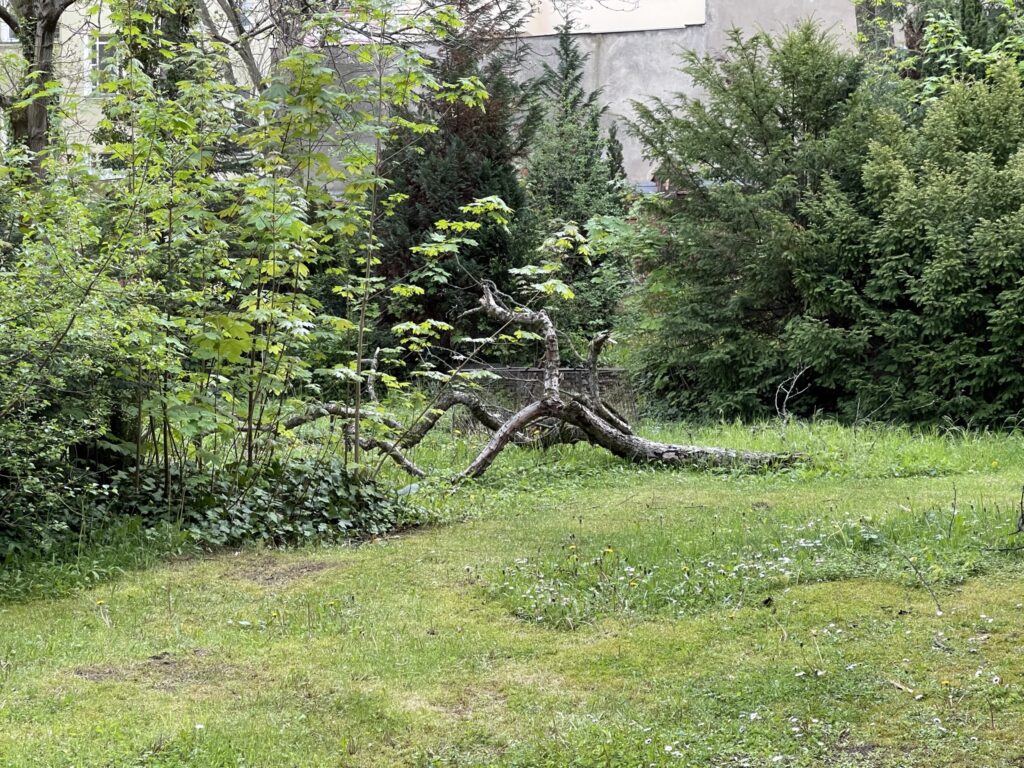 Wunderwelt Alter Friedhof St. Jacobi – Bild 34