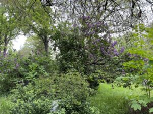 Wunderwelt Alter Friedhof St. Jacobi – Bild 35