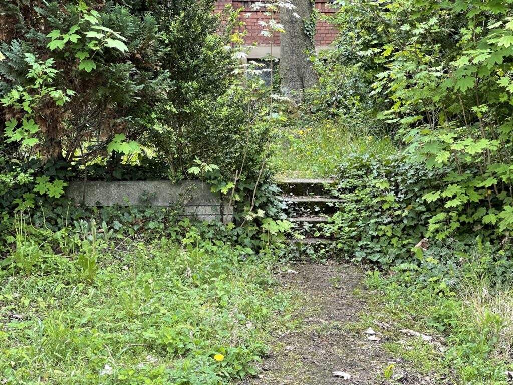 Wunderwelt Alter Friedhof St. Jacobi – Bild 36