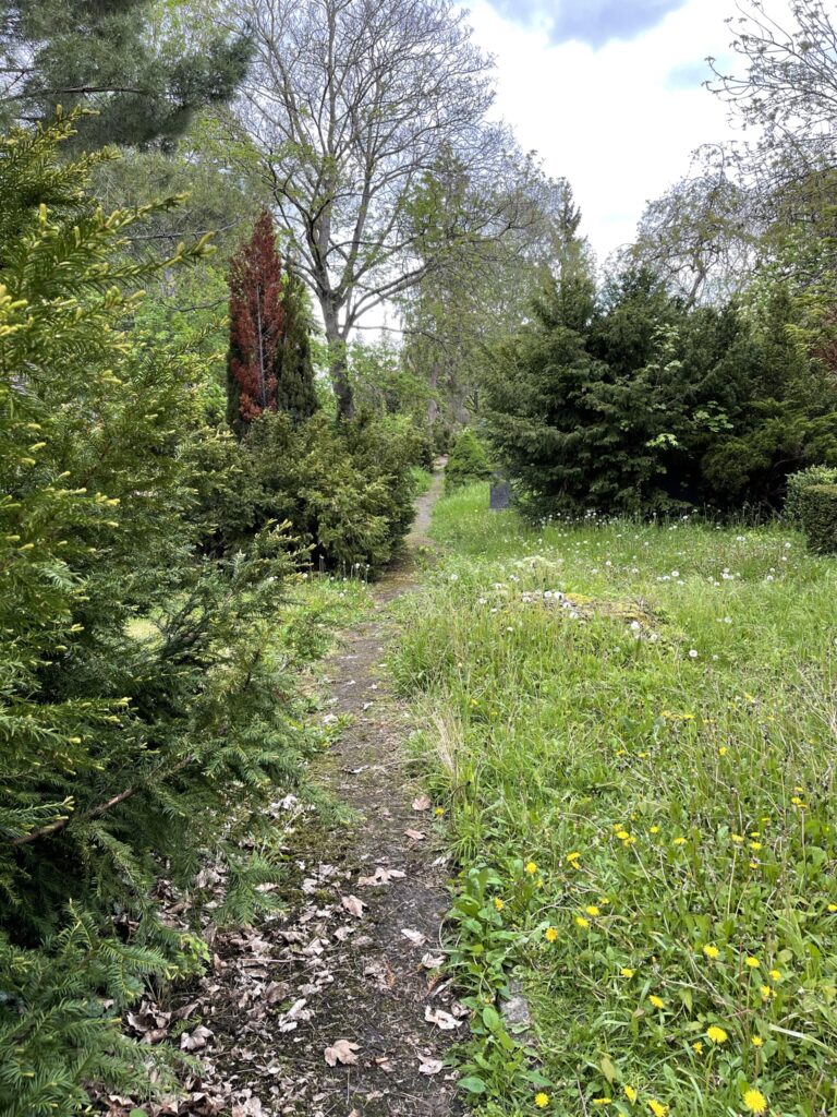 Wunderwelt Alter Friedhof St. Jacobi – Bild 37