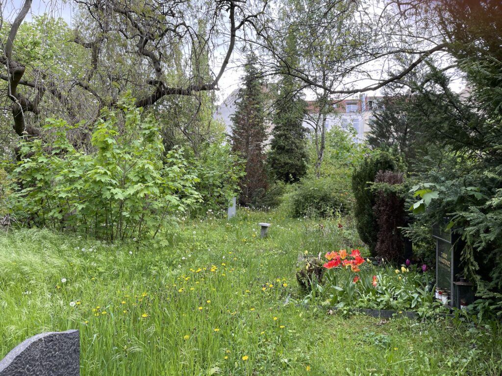 Wunderwelt Alter Friedhof St. Jacobi – Bild 38