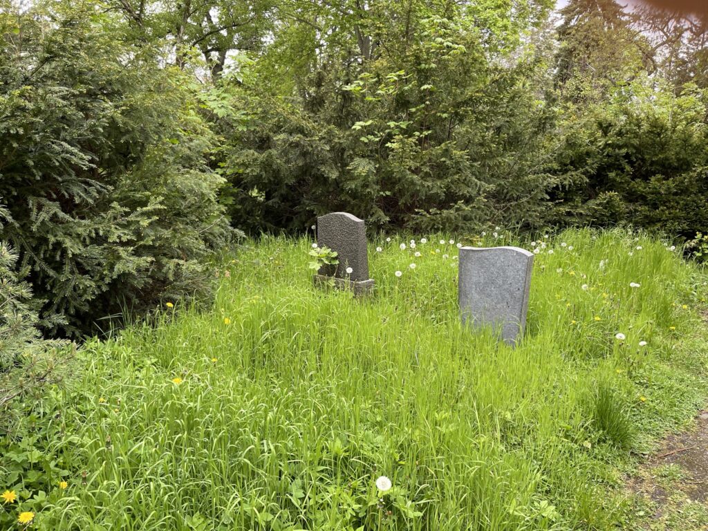 Wunderwelt Alter Friedhof St. Jacobi – Bild 39