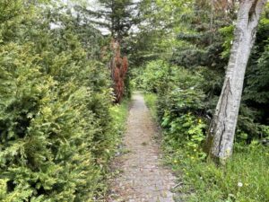 Wunderwelt Alter Friedhof St. Jacobi – Bild 40