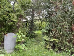 Wunderwelt Alter Friedhof St. Jacobi – Bild 41