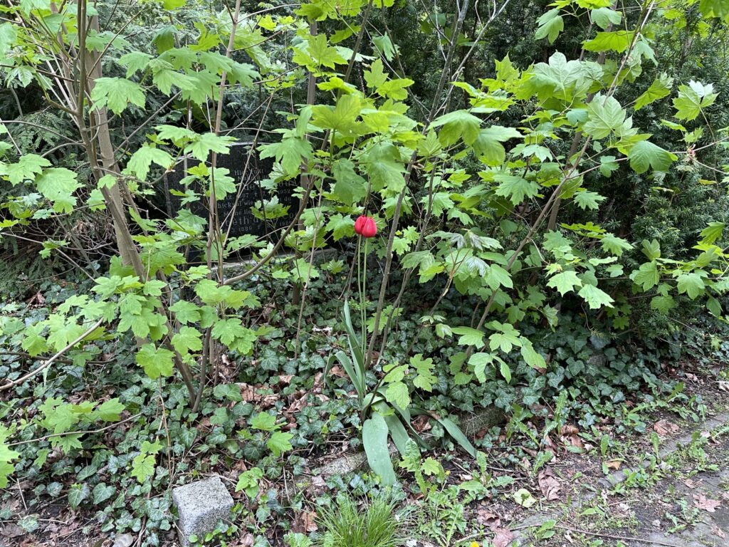 Wunderwelt Alter Friedhof St. Jacobi – Bild 42