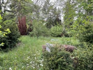 Wunderwelt Alter Friedhof St. Jacobi – Bild 43
