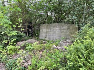 Wunderwelt Alter Friedhof St. Jacobi – Bild 44