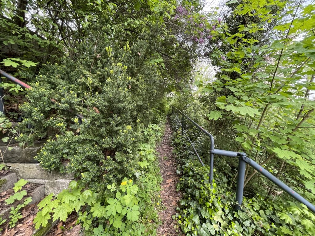 Wunderwelt Alter Friedhof St. Jacobi – Bild 46