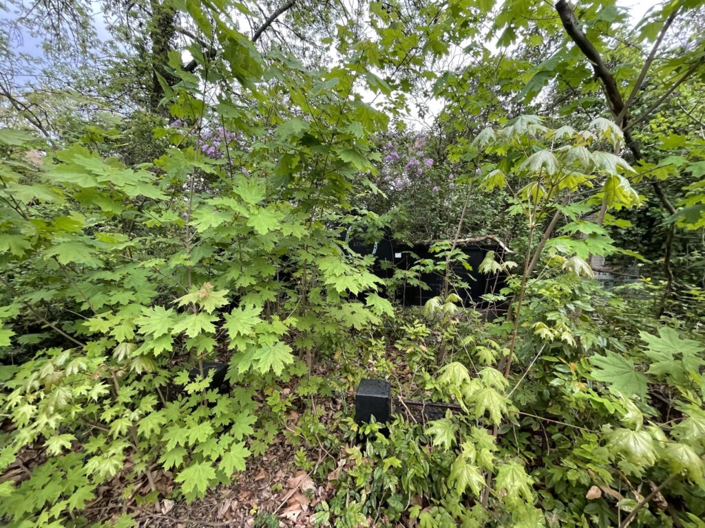 Wunderwelt Alter Friedhof St. Jacobi – Bild 48