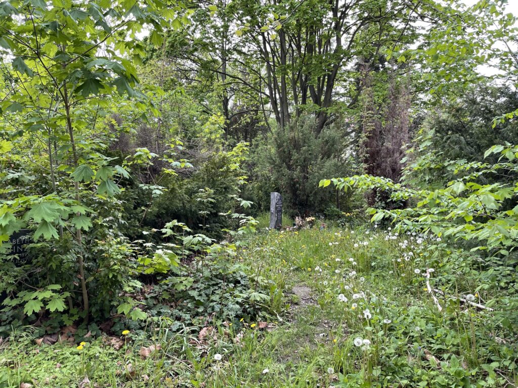 Wunderwelt Alter Friedhof St. Jacobi – Bild 49