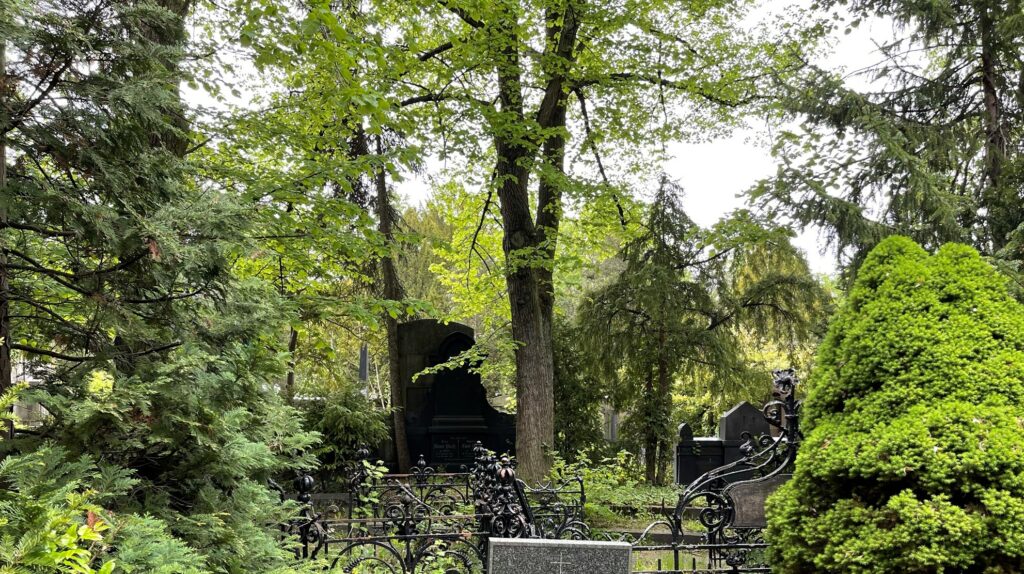 Wunderwelt Alter Friedhof St. Jacobi – Bild 56