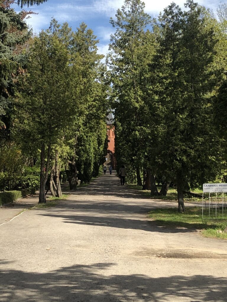 Wunderwelt Auferstehungsfriedhof – Bild 7