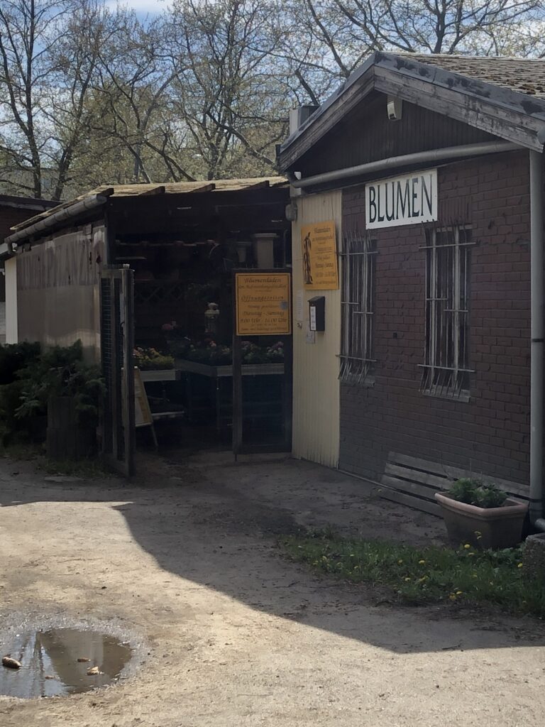 Wunderwelt Auferstehungsfriedhof – Bild 8