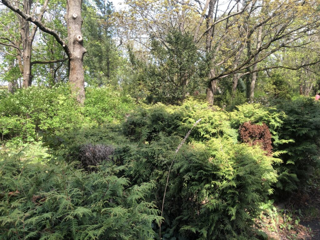 Wunderwelt Auferstehungsfriedhof – Bild 10