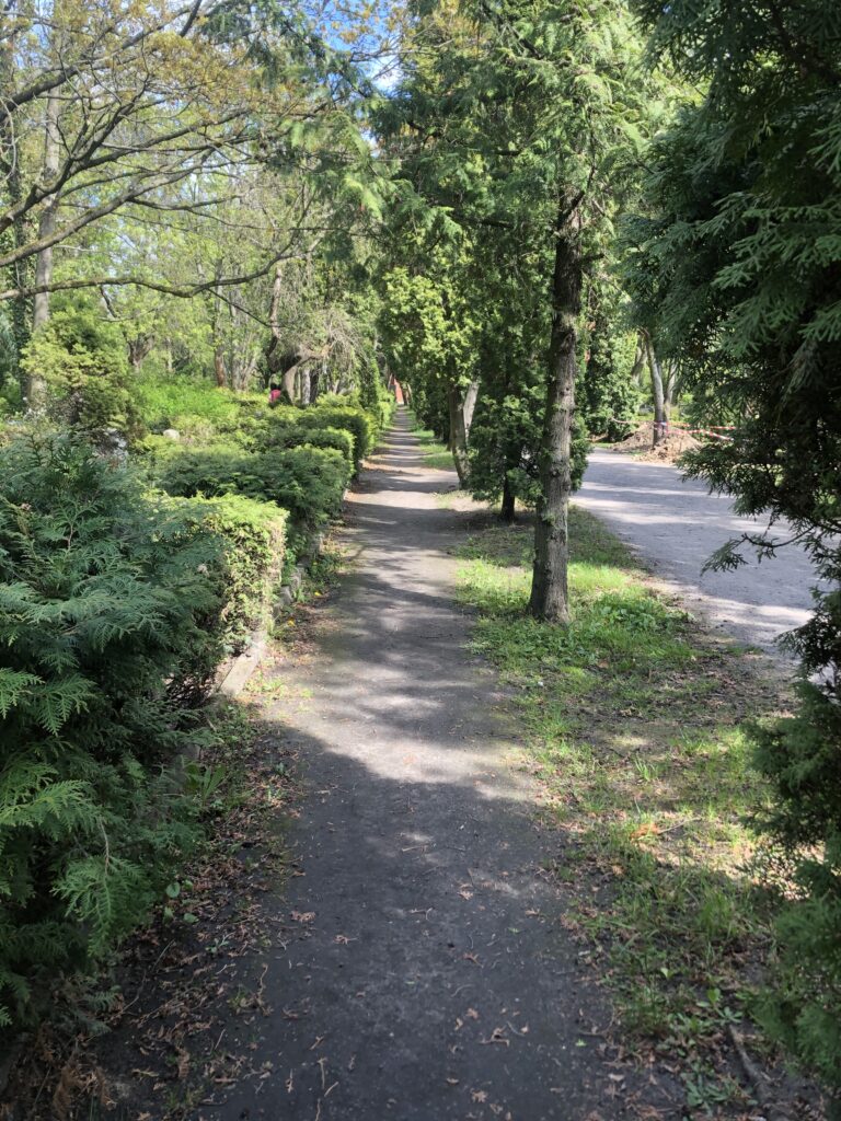 Wunderwelt Auferstehungsfriedhof – Bild 11