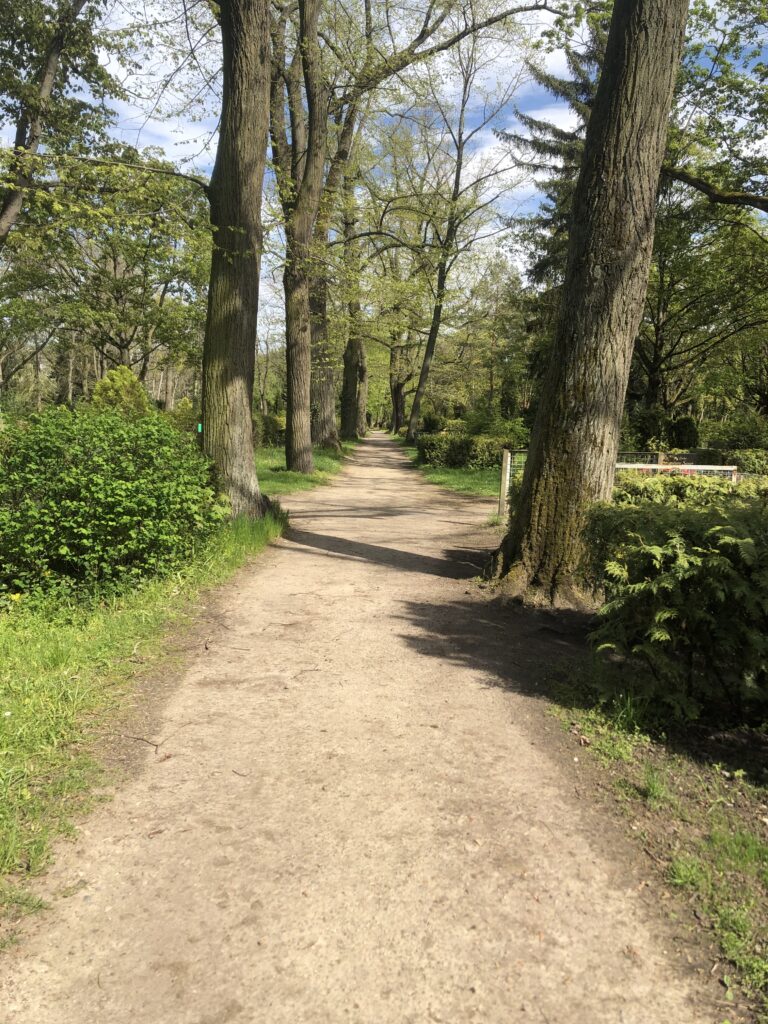 Wunderwelt Auferstehungsfriedhof – Bild 13