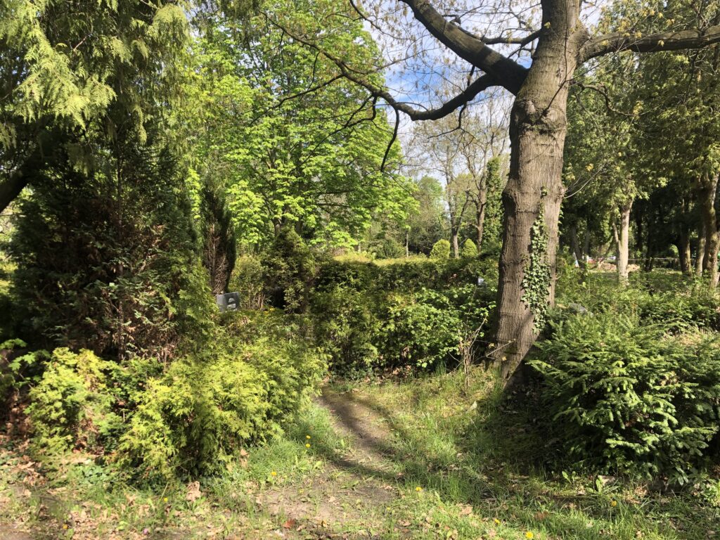 Wunderwelt Auferstehungsfriedhof – Bild 16