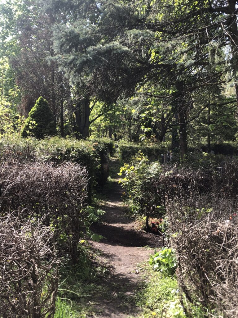 Wunderwelt Auferstehungsfriedhof – Bild 18