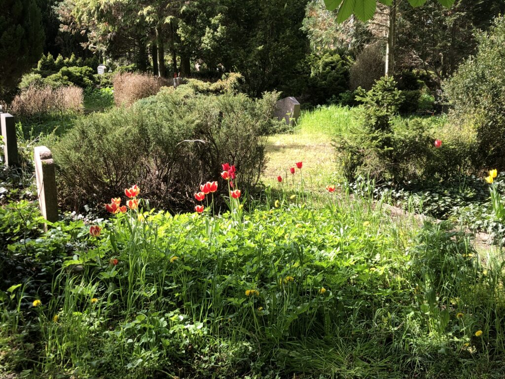 Wunderwelt Auferstehungsfriedhof – Bild 19