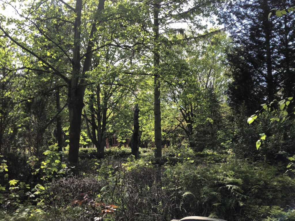 Wunderwelt Auferstehungsfriedhof – Bild 23