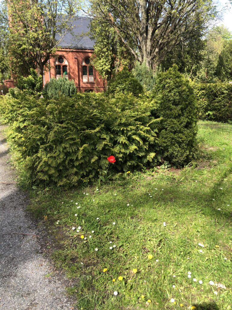 Wunderwelt Auferstehungsfriedhof – Bild 26