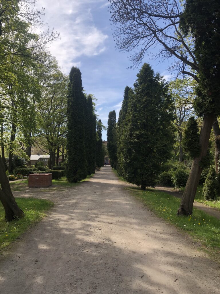 Wunderwelt Auferstehungsfriedhof – Bild 28