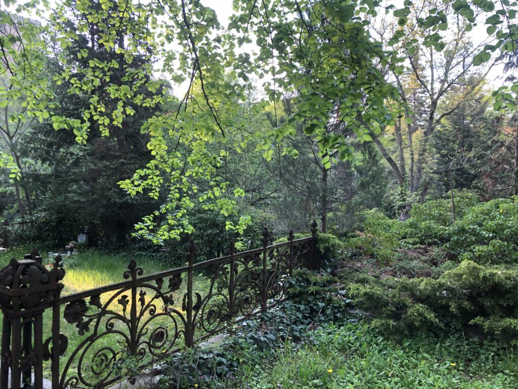 Wunderwelt Dreifaltigkeitskirchhof II – Bild 13