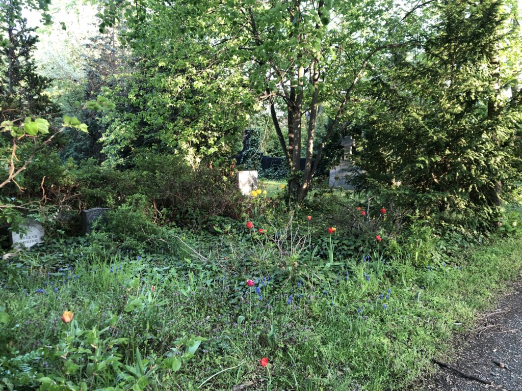 Wunderwelt Dreifaltigkeitskirchhof II – Bild 19