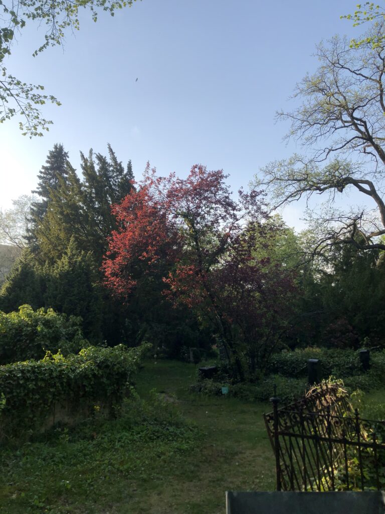 Wunderwelt Dreifaltigkeitskirchhof II – Bild 20