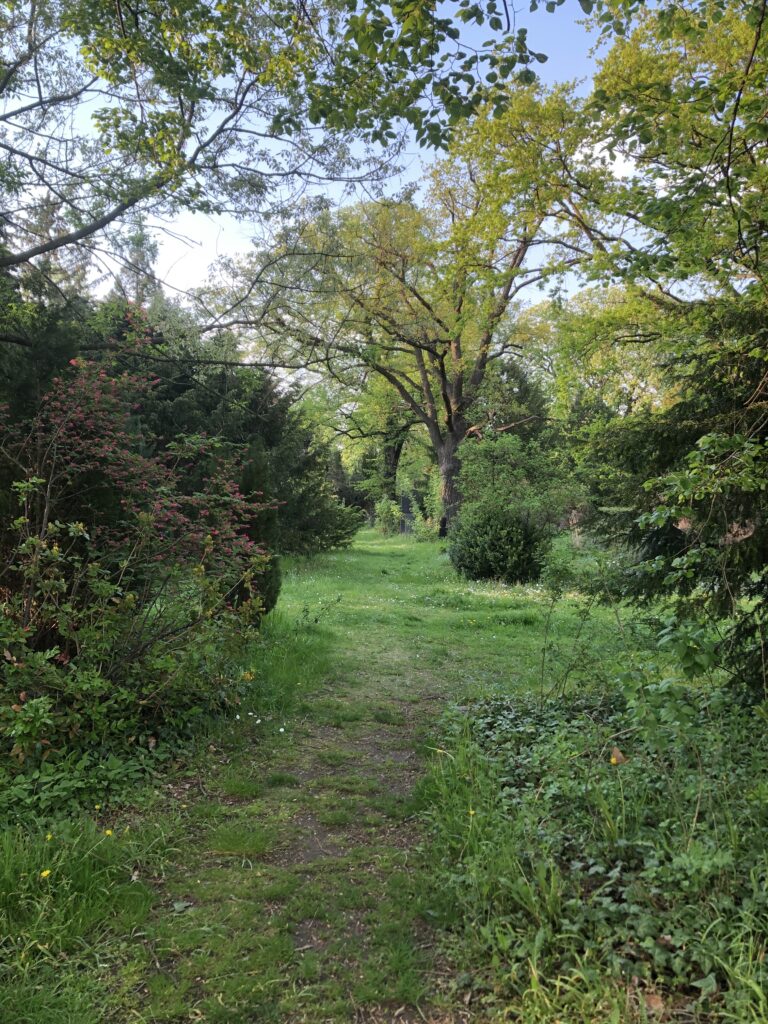 Wunderwelt Dreifaltigkeitskirchhof II – Bild 22