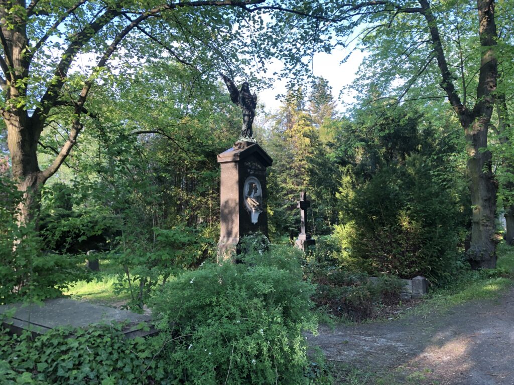 Wunderwelt Dreifaltigkeitskirchhof II – Bild 23