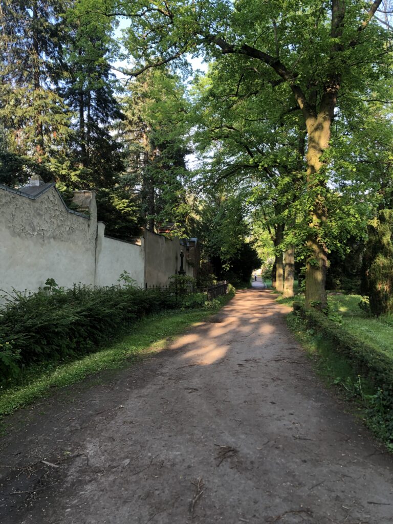 Wunderwelt Dreifaltigkeitskirchhof II – Bild 25