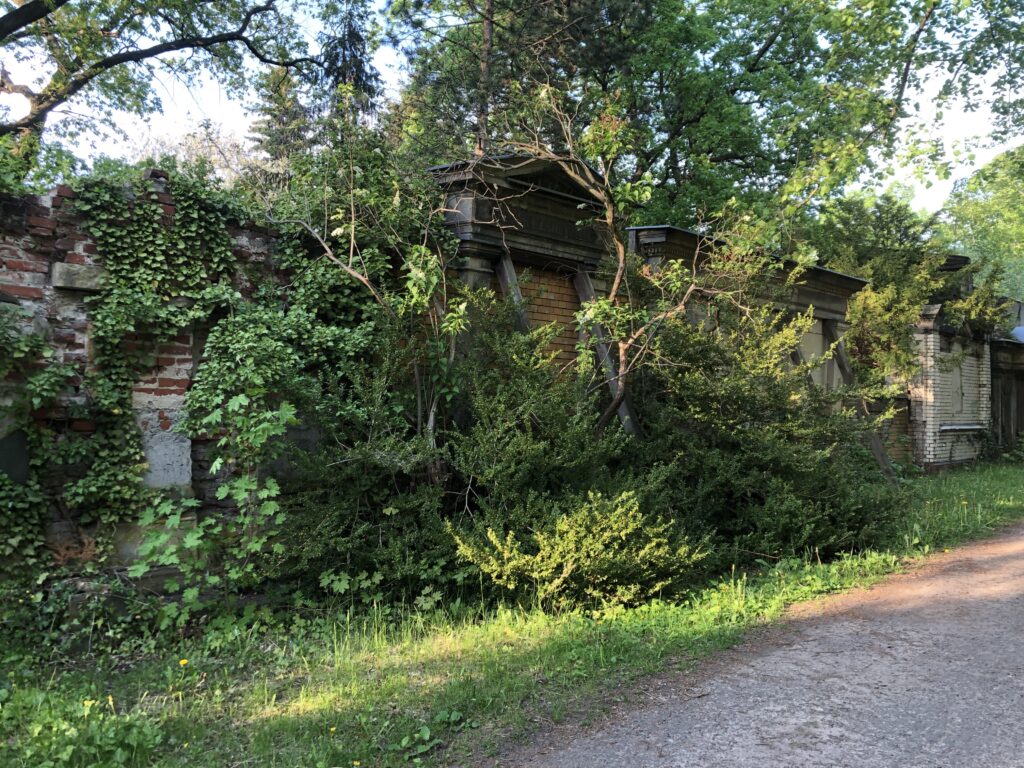 Wunderwelt Dreifaltigkeitskirchhof II – Bild 28