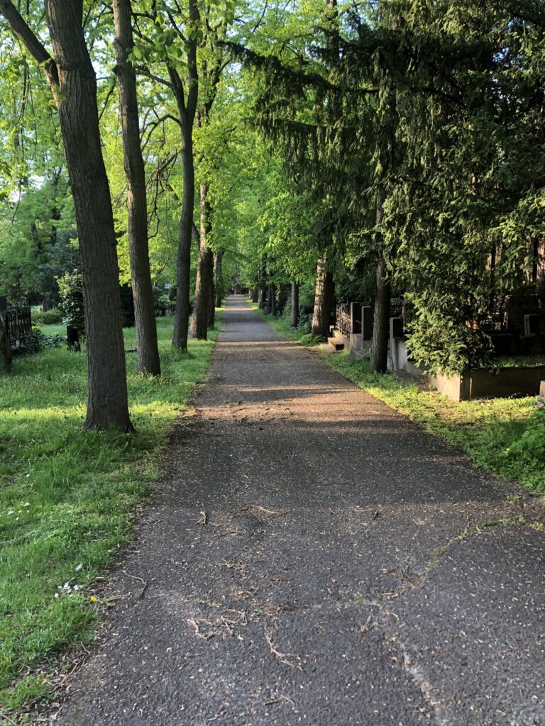 Wunderwelt Dreifaltigkeitskirchhof II – Bild 42