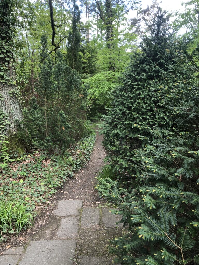 Wunderwelt Friedhof Grunewald-Forst – Bild 4