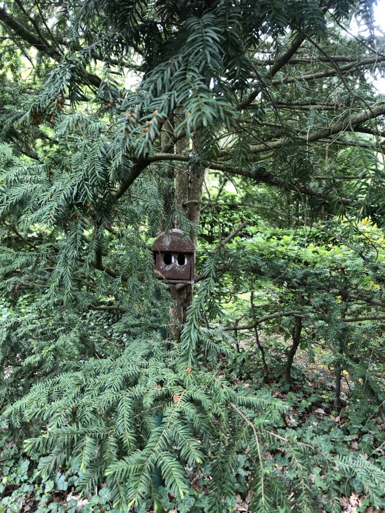 Wunderwelt Friedhof Grunewald-Forst – Bild 5