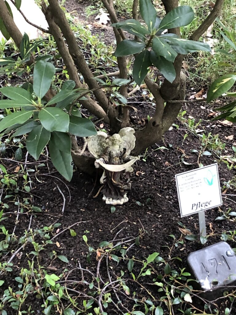 Wunderwelt Friedhof Grunewald-Forst – Bild 9
