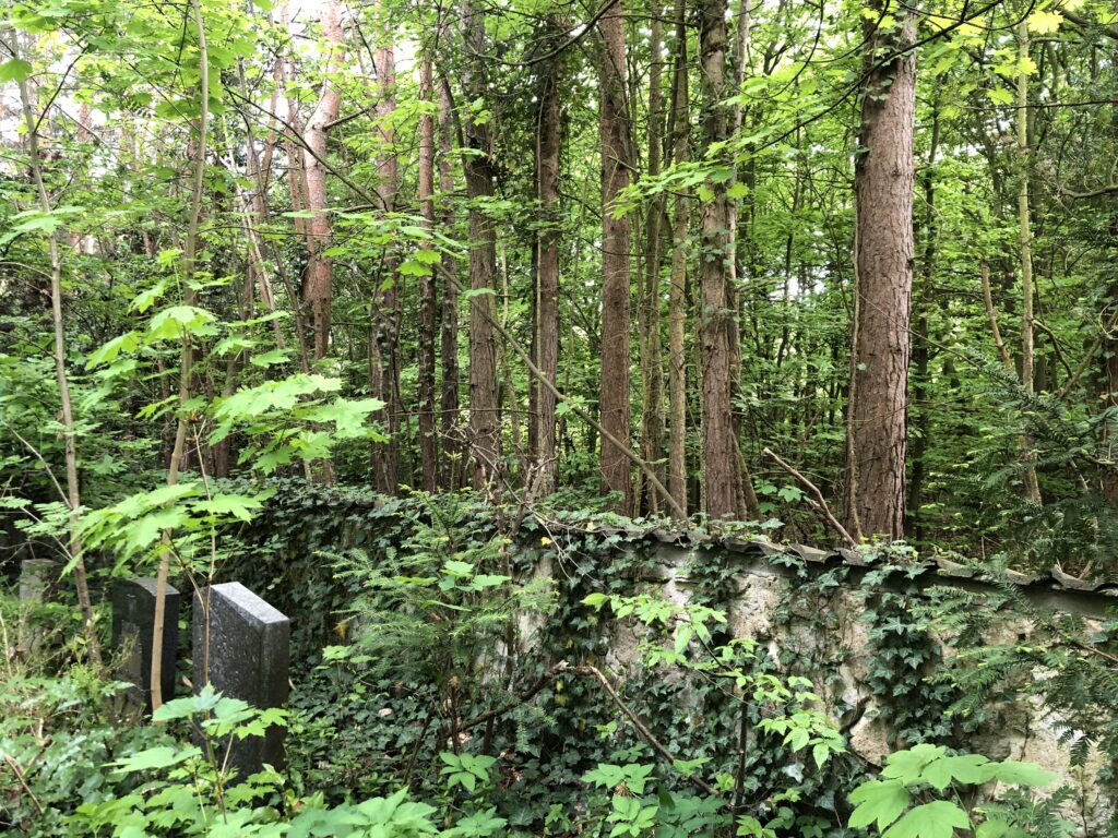 Wunderwelt Friedhof Grunewald-Forst – Bild 14