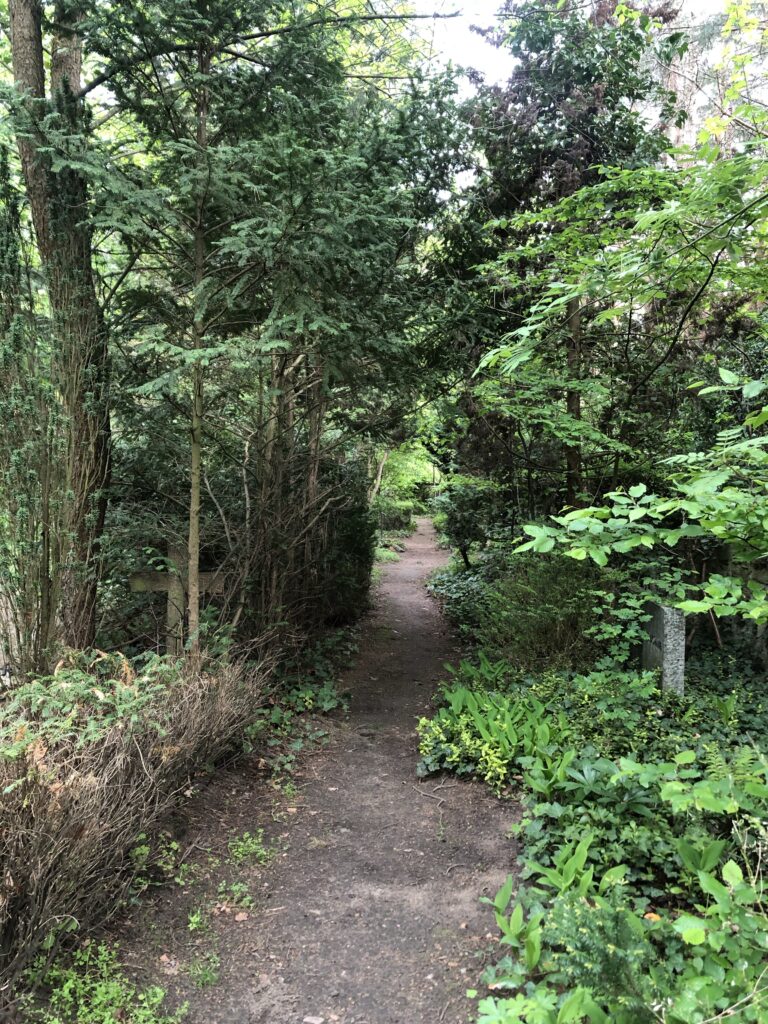 Wunderwelt Friedhof Grunewald-Forst – Bild 15