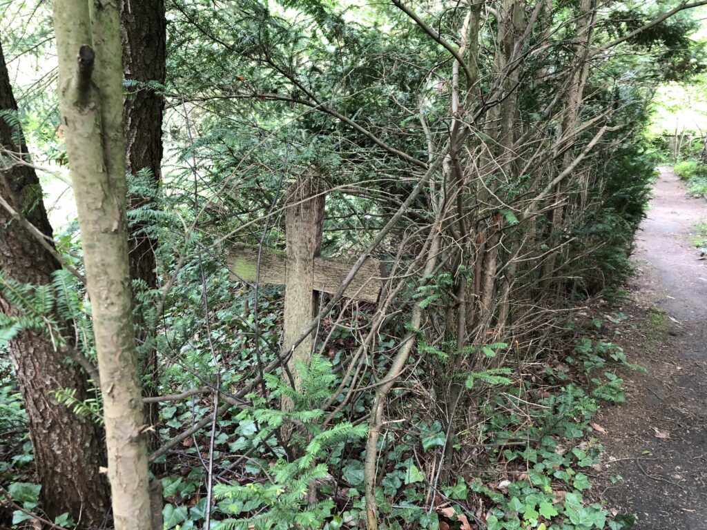 Wunderwelt Friedhof Grunewald-Forst – Bild 6