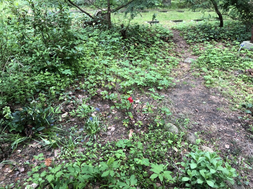 Wunderwelt Friedhof Grunewald-Forst – Bild 12