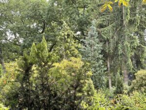Wunderwelt Friedhof St. Matthias – Bild 14