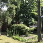 Wunderwelt Friedhöfe an der Liesenstraße – Bild 4