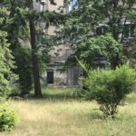 Wunderwelt Friedhöfe an der Liesenstraße – Bild 13
