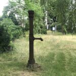Wunderwelt Friedhöfe an der Liesenstraße – Bild 27